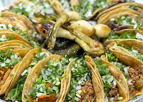 Cilantro Taco Grill  Old Town