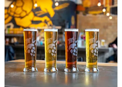 Braxton Brewing CVG