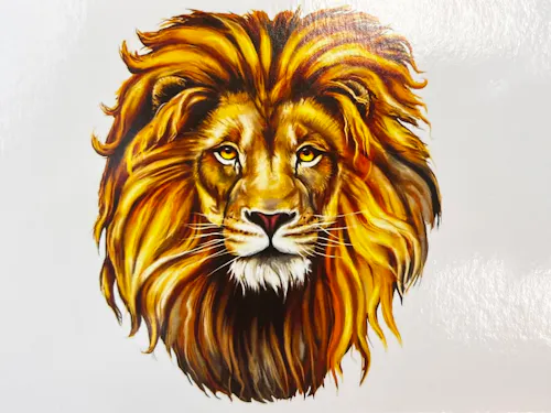 Lion's Cafe
