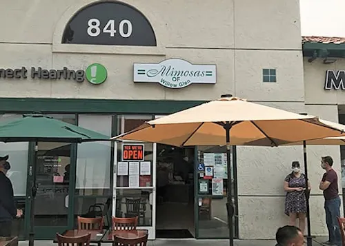 Mimosa of Willow Glen