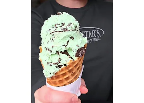 Brusters Ice Cream