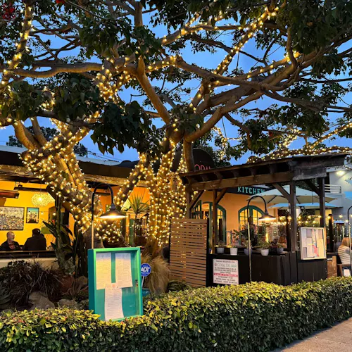 Coral Del Mar