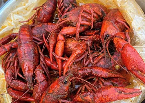 Krazy Cajun Seafood & Hibachi