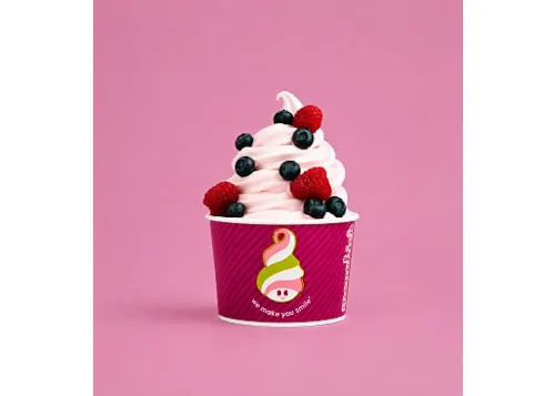 Menchie's Frozen Yogurt