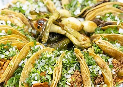 Cilantro Taco Grill - Glen Ellyn