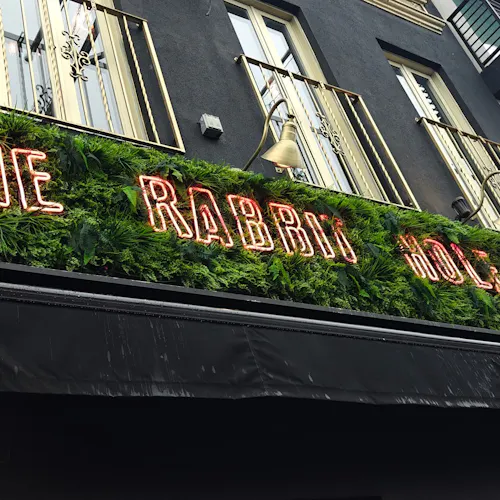 The Rabbit Hole