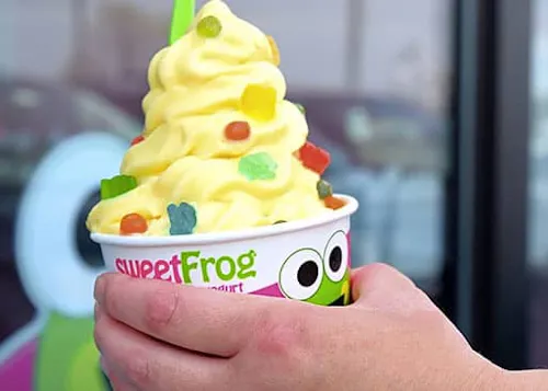 Sweetfrog Premium Frozen Yogurt - VB