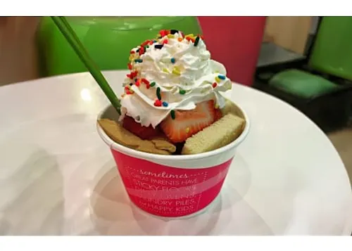 Sweetfrog Premium Frozen Yogurt - VB