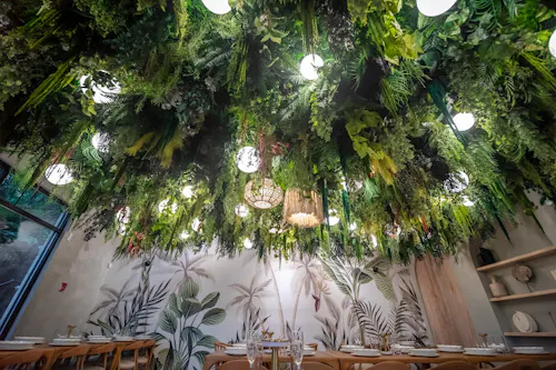 Verdure Kitchen and Cocktails