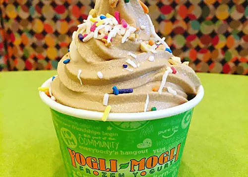 Yogli Mogli  East Cobb