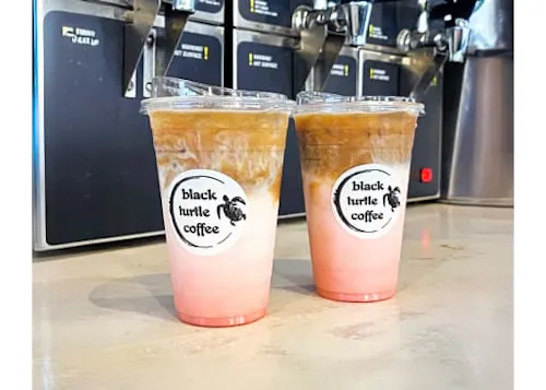 Black Turtle Coffee