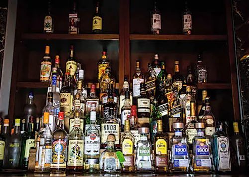 Cat Sports Pub