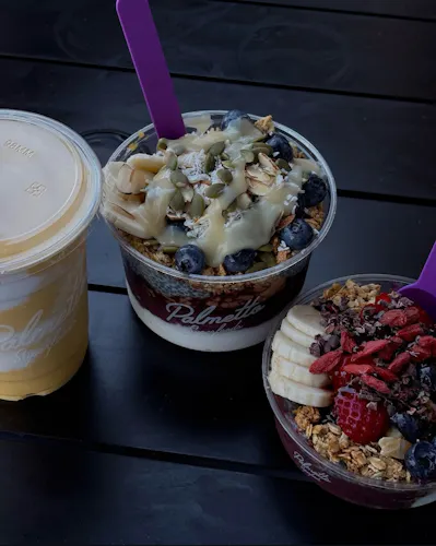 Palmetto Superfoods - Santana Row