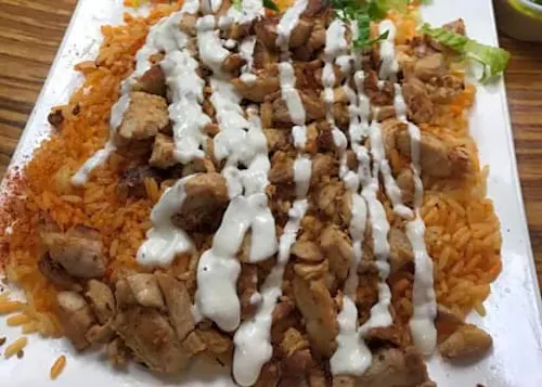 Gyro Grill
