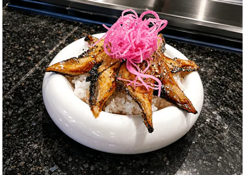 Volcano Sushi