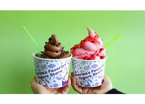 Yogurt Mountain Cafe