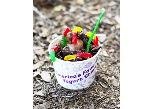 Yogurt Mountain Cafe