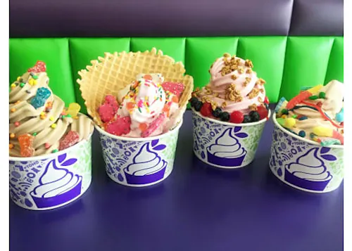 Yogurt Mountain Cafe