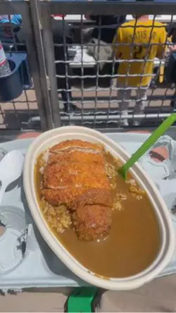 CoCo Ichibanya - Petco Park