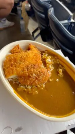 CoCo Ichibanya - Petco Park