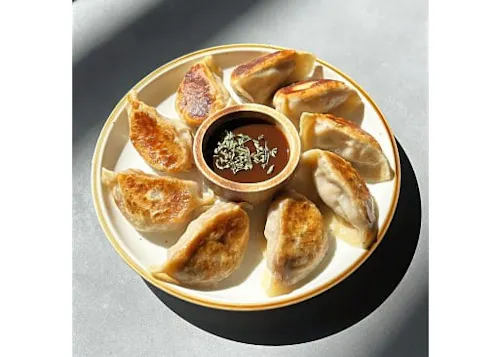 Saturday Dumpling Co.