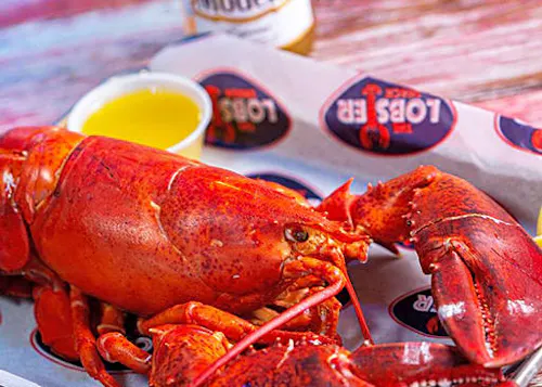 The Lobster Shack - Lincoln Rd