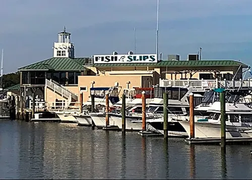 Fish & Slips Marina Raw Bar