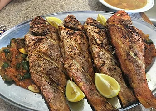Petra Mediterrean Grill