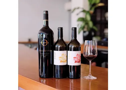 Cadet Wine & Beer Bar