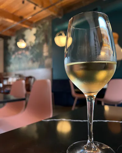 Friendship Vietnamese Kitchen x Stem Wine Bar