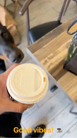 Chapter II Coffee