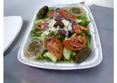 The Gyro Spot