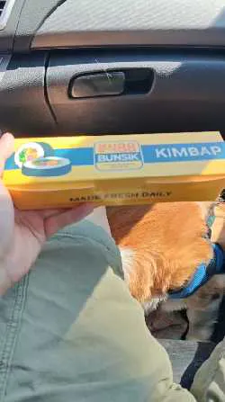 Bunsik 88
